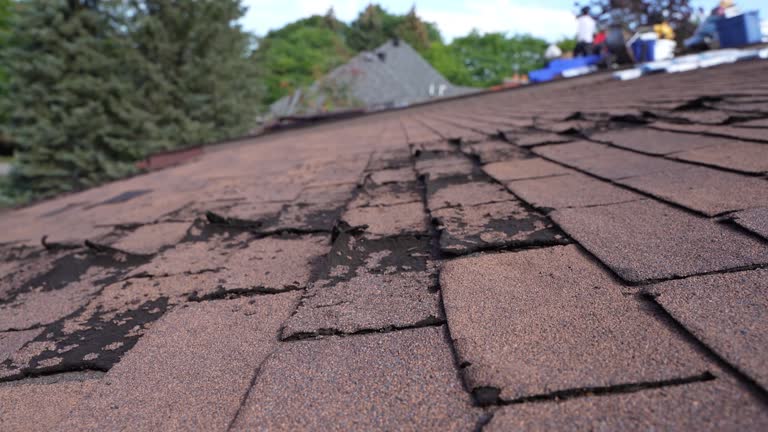 Best Roof Coating Services  in Wellsburg, WV