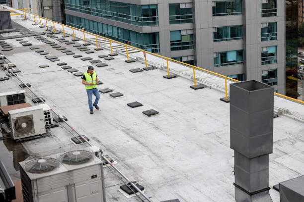 Best Roof Insulation Installation  in Wellsburg, WV