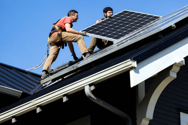 Best Roof Moss and Algae Removal  in Wellsburg, WV